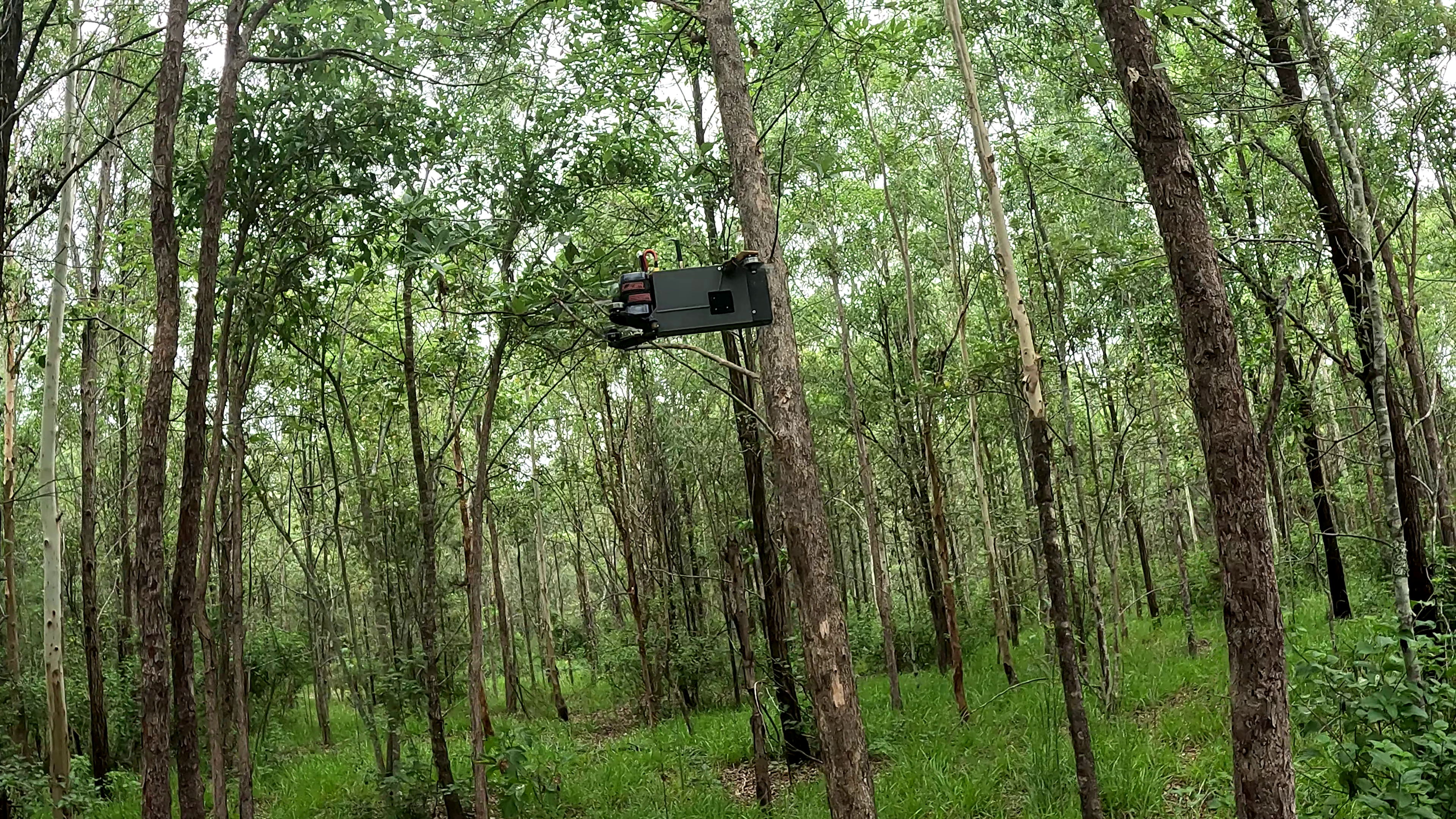 SPURT flying through the natural environment